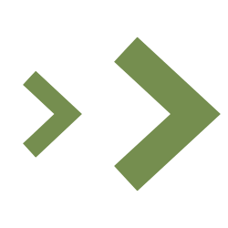 Two Arrow Icon Two Arrow Icon